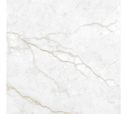 Torso Gold Керамогранит 60х60 Полированный