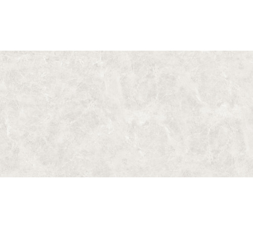Orlando Blanco Керамогранит светло-серый 60x120 Полированный