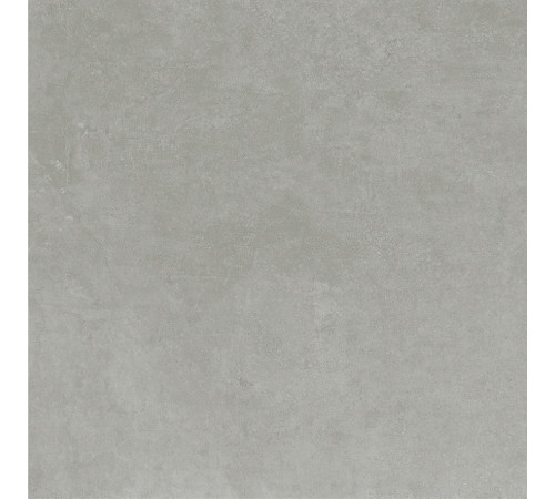 Techno Gris Керамогранит серый SG604520R 59,5х59,5 Матовый Карвинг