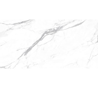 Carrara Terrific Silver Керамогранит белый 60х120 матовый