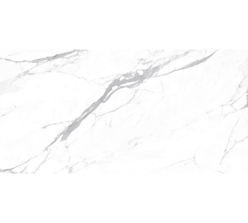 Carrara Terrific Silver Керамогранит белый 60х120 Матовый