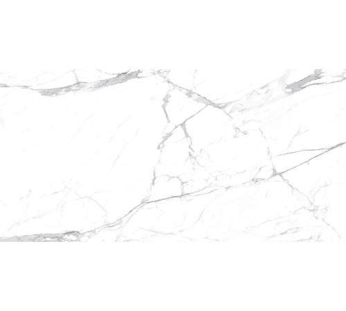 Carrara Terrific Silver Керамогранит белый 60х120 Матовый