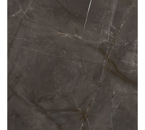 Timeless Marrone Керамогранит коричневый LP6060G0061R 59,5х59,5 матовый карвинг