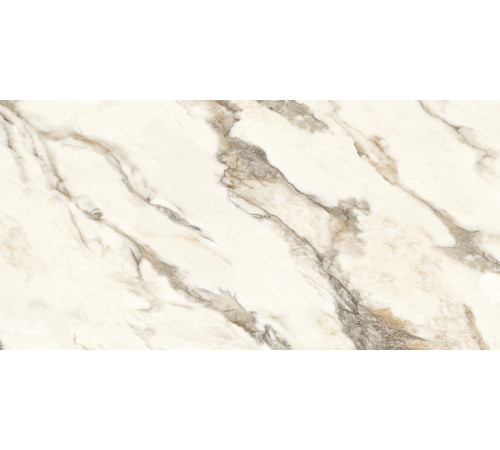 Calacatta Bronze Керамогранит белый полированный 60х120