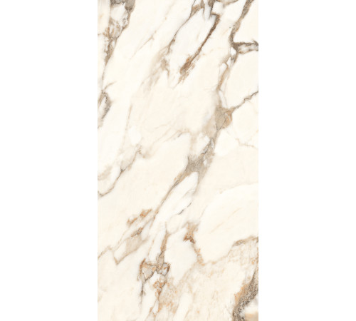 Calacatta Bronze Керамогранит белый полированный 60х120