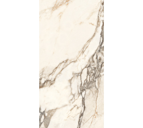 Calacatta Bronze Керамогранит белый полированный 60х120