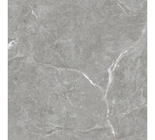 Stone Cool Grey Керамогранит серый 60х60 Матовый