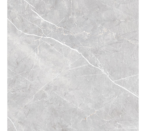 Lune Grigio Керамогранит серый LP6060G0071R 59,5х59,5 матовый карвинг