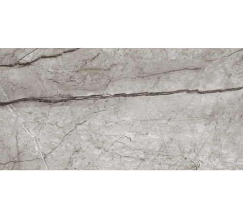 Obsidian Moss Gray Керамогранит 60х120 Полированный