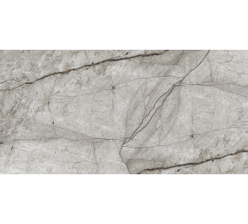 Obsidian Moss Gray Керамогранит 60х120 Полированный