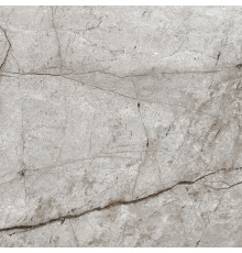 Obsidian Moss Gray Керамогранит 60х60 матовый