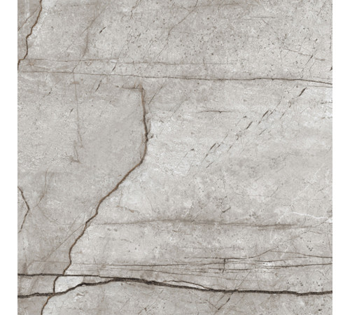 Obsidian Moss Gray Керамогранит 60х60 матовый