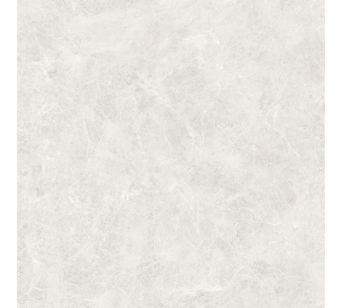 Orlando Blanco Керамогранит светло-серый 60x60 Полированный