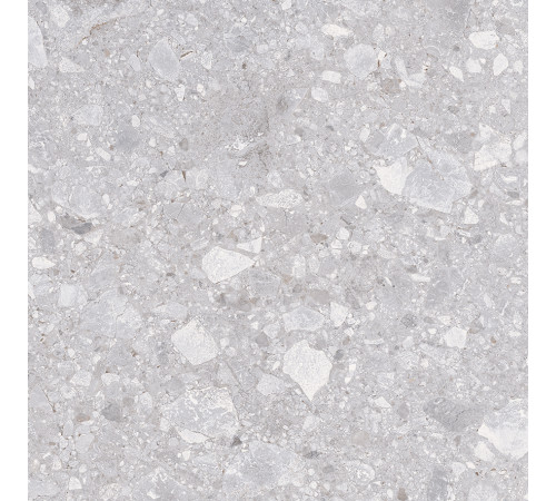 Matrix Керамогранит светло-серый K952738R0001LPET 59,7х59,7