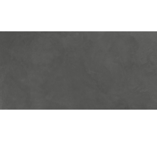 Evolution Gris Керамогранит серый SG50001220R 59,5х119,1 Матовый Карвинг