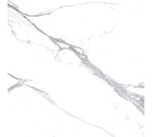 Calacatta Splendid Silver Керамогранит белый 60х60 Матовый