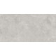 Pluto Silver Керамогранит светло-серый SG50005220R 59,5х119,1 матовый