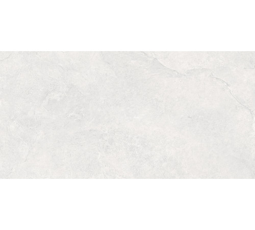 Overland Moon PRO Керамогранит светло-серый 60х120 матовый+гл.чернила R10 STR