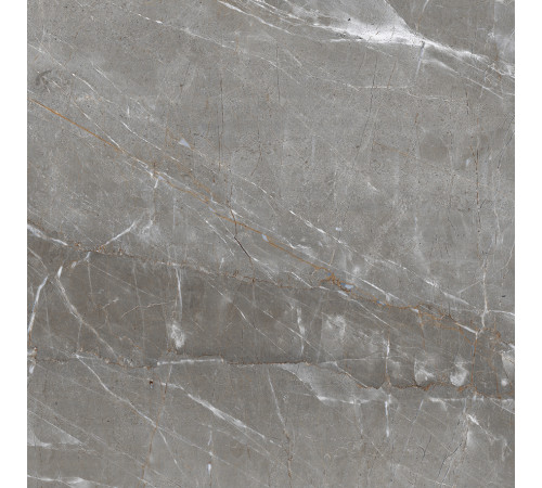 Patara Grigio Керамогранит I Серый 60x60 Полированный