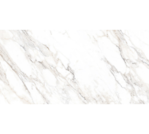 Salm Керамогранит 80х160 Полированный