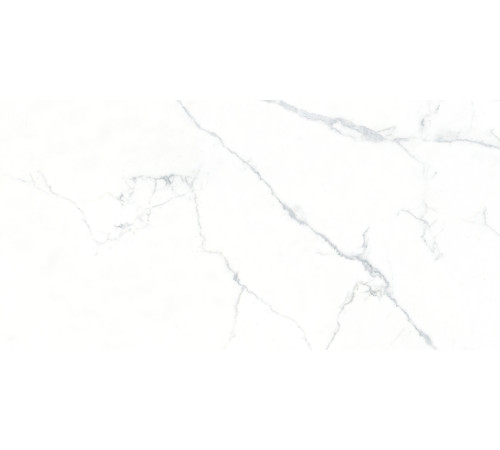 Ogma Керамогранит 80х160 Полированный