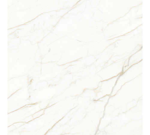 Europa Gold l Керамогранит белый 60x60 Матовый Карвинг