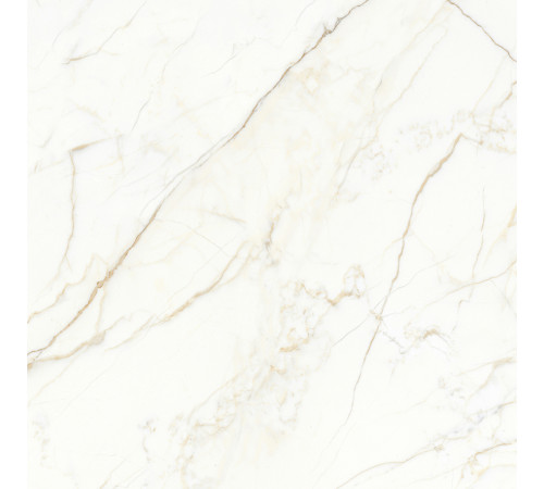 Europa Gold l Керамогранит белый 60x60 Матовый Карвинг