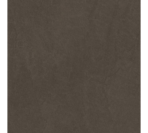 Sandstone Brown PRO Керамогранит коричневый 60х60 матовый R10GR