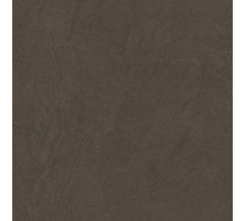 Sandstone Brown PRO Керамогранит коричневый 60х60 матовый R10GR