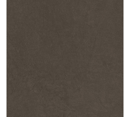 Sandstone Brown PRO Керамогранит коричневый 60х60 матовый R10GR