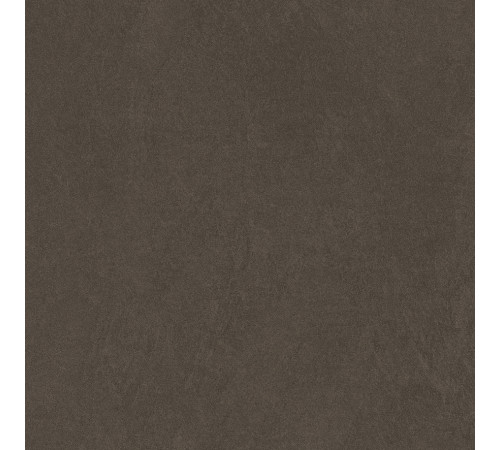 Sandstone Brown PRO Керамогранит коричневый 60х60 матовый R10GR