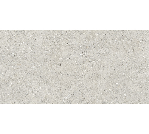 Granito Grigio Керамогранит серый CR6012G0471R 59,5х119,1 матовый