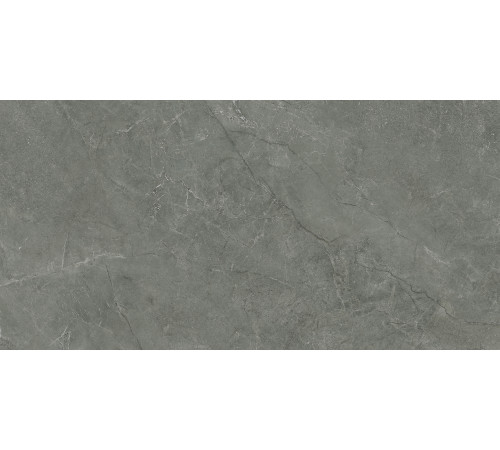 Pluto Grigio Керамогранит серый SG50005320R 59,5х119,1 матовый