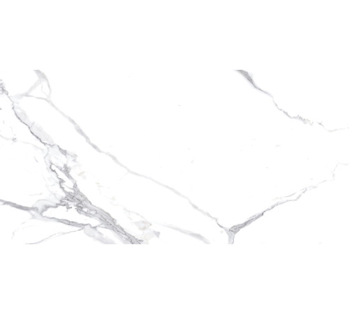 Calacatta Splendid Silver Керамогранит белый 60х120 Матовый