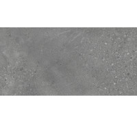 Nelson Керамогранит тёмно-серый K948160LPR01LPER 59,7х119,7 лаппатированный