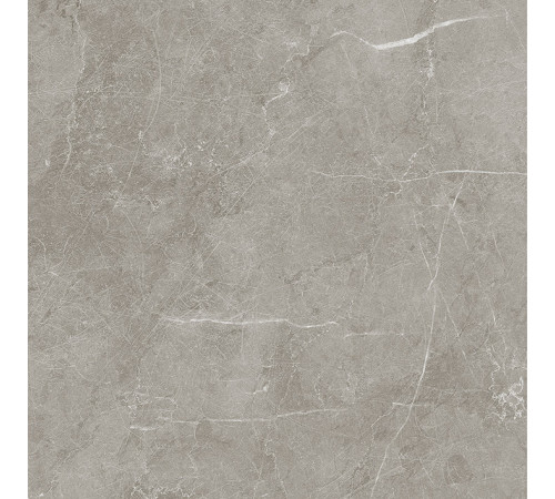 Scandy Керамогранит серый обрезной SG645220R 59,5х59,5