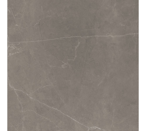 Splash Grey Керамогранит серый 60х60 Сатинированный Карвинг