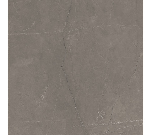 Splash Grey Керамогранит серый 60х60 Сатинированный Карвинг