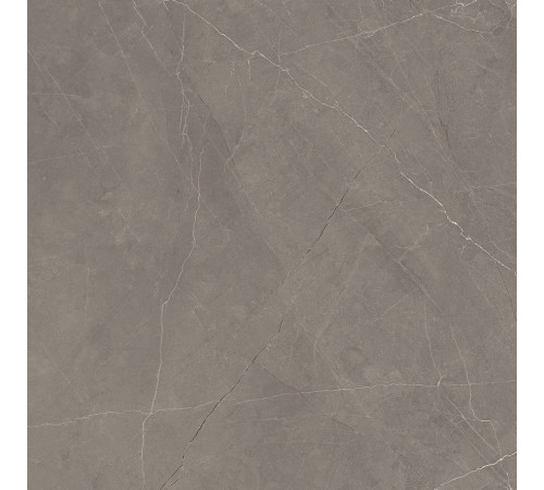 Splash Grey Керамогранит серый 60х60 Сатинированный Карвинг