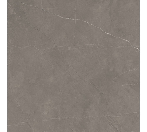 Splash Grey Керамогранит серый 60х60 Сатинированный Карвинг