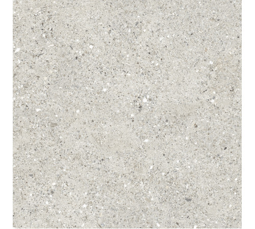 Granito Grigio Керамогранит серый CR6060G0461R 59,5х59,5 матовый