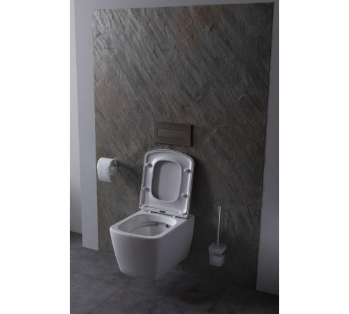 Чаша подвесного унитаза Allen Brau Liberty 4.33004.20 белый глянец