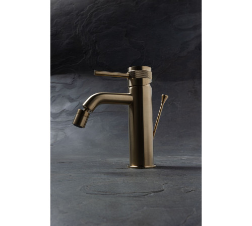 Смеситель для биде Allen Brau Priority 5.31A04-GB (с донным клапаном) золото