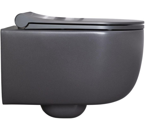 Чаша подвесного унитаза Allen Brau Priority 4.31002.AN антрацит