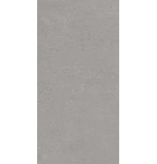Керамогранит Про Фьюче DD593420R Серый матовый 60х119.5