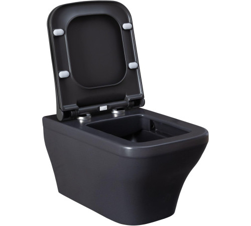 Чаша подвесного унитаза Allen Brau Infinity 4.21011.AN антрацит