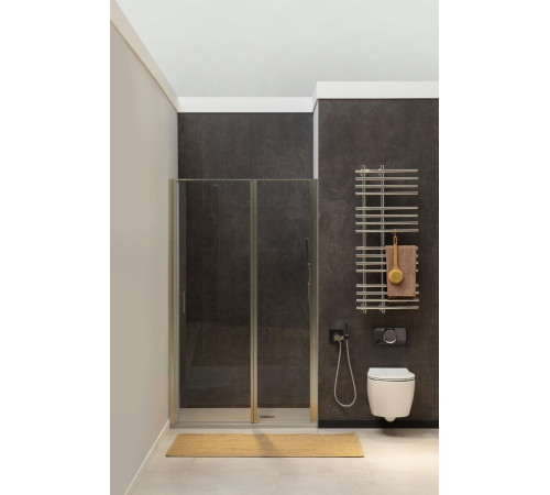 Душевая дверь Allen Brau Priority 100 3.31005.BA серебро браш