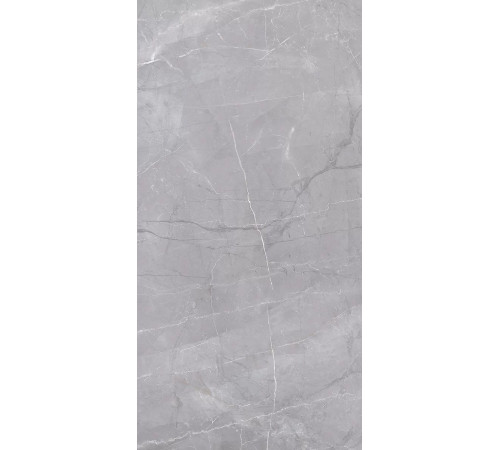 Керамогранит Риальто SG560720R Серый матовый 60х119.5