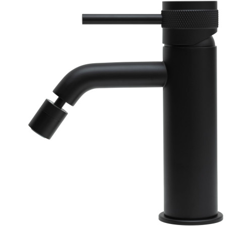 Смеситель для биде Allen Brau Priority 5.31A04-31 (с донным клапаном) черный матовый