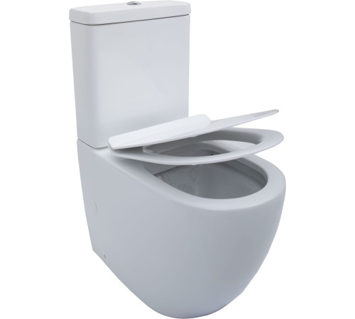 Чаша напольного унитаза Aquanet Rimless Cetus-C1 BL-102N-TPT